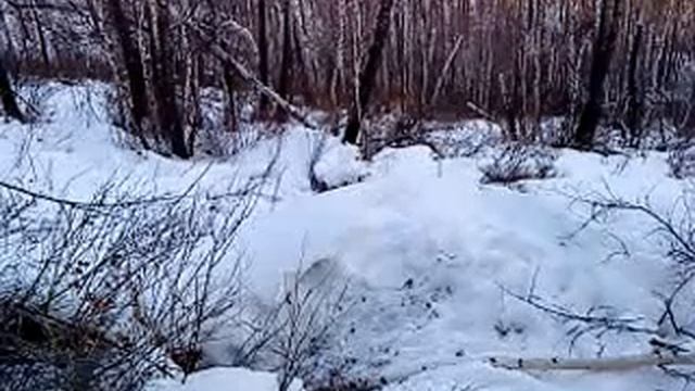 Охота на медведя смотреть онлайн