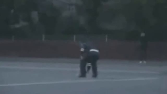 Приколы над гаишниками! Подборка приколов на дороге