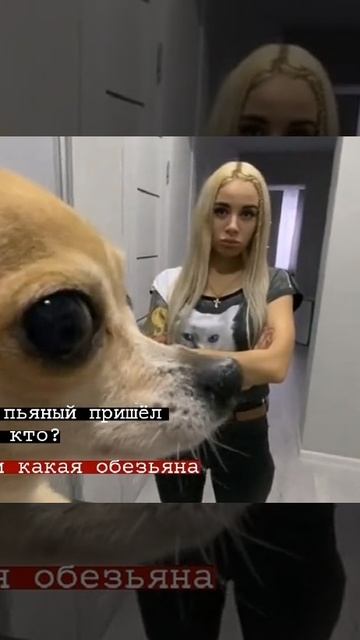 v10044g50000c7ert53c77u9jb2e6dl0 смотреть онлайн