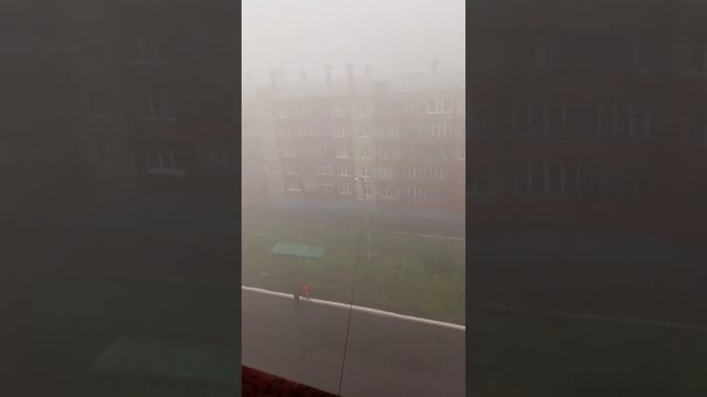 дохним в Норильске смотреть онлайн