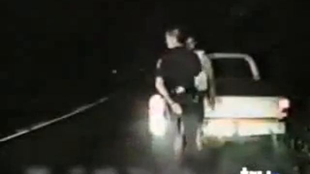 Прикол безупречное видео оленей видео