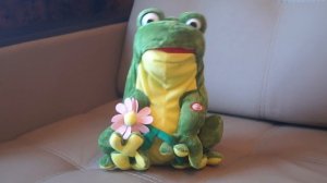лягушка с цветочком, поющая одну песню inmagig.ru