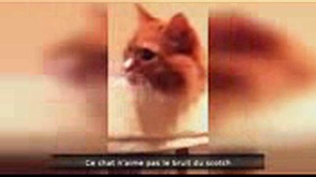 ☢ ПРИКОЛЫ #9 ПРИКОЛ подборка приколов Январь 2015 приколы 2015 жесть ржака угар ржач компиляция смотреть онлайн