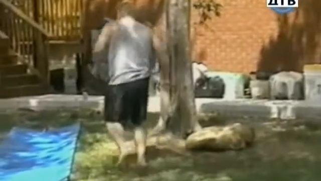 Шутка ржачьное видео приколисты онлайн смотреть онлайн