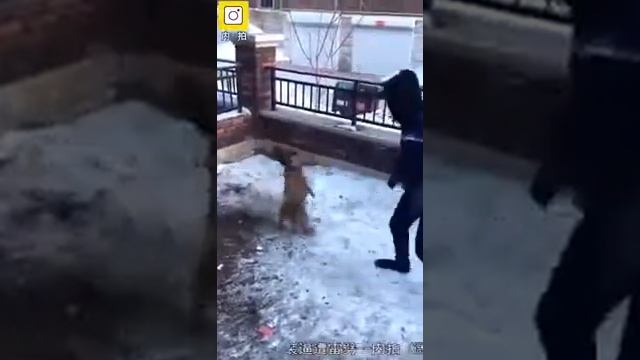 Китайские приколы Chinese jokes смотреть онлайн