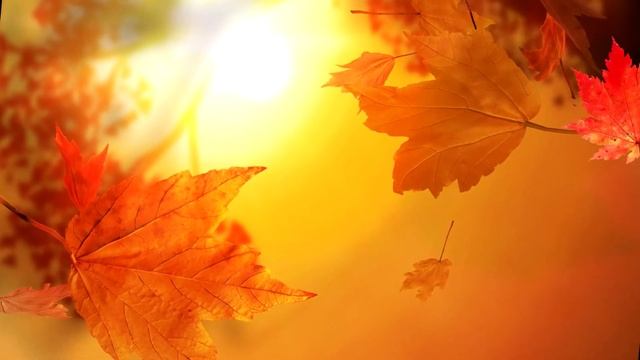 Осенний этюд