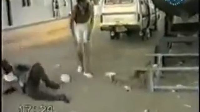 Смешное видео с обезьянами смотреть онлайн