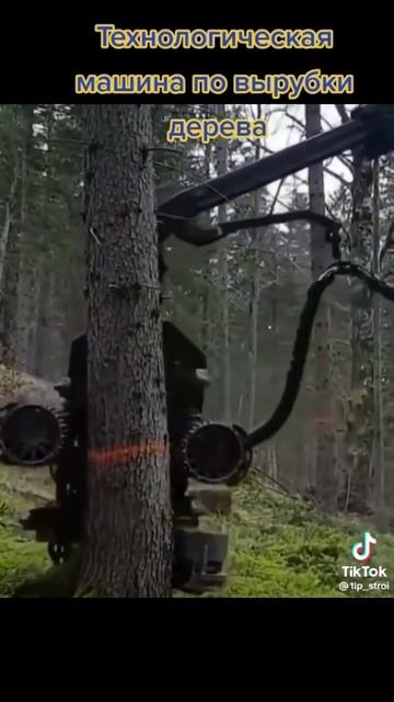 #short #shorts #дерево #турфаолам2022 #лес 🌲 #трактор #приколы #xbox смотреть онлайн