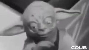 Магистр йода. прикол