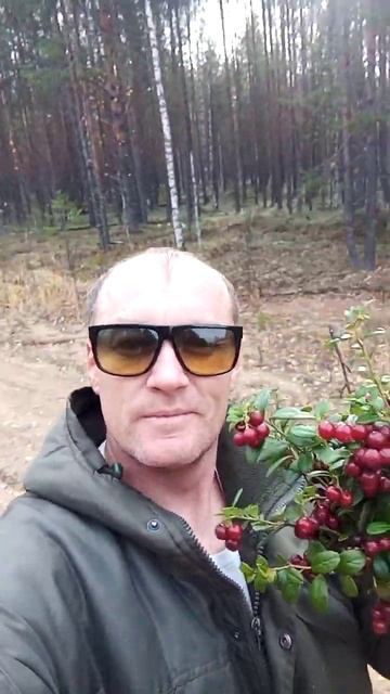 брусника смотреть онлайн
