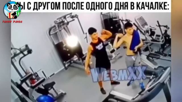 ЛУЧШИЕ ПРИКОЛЫ Подборка Приколов 2020 #29 от FUNNY PANDA смотреть онлайн