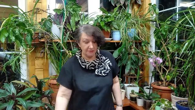 Урок 167. Слова fun и funny. смотреть онлайн
