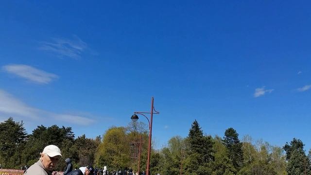 БАЛ ТЮЛЬПАНОВ в Краснодаре