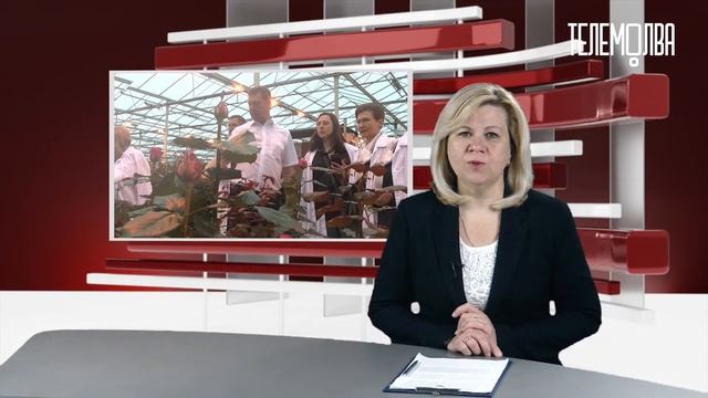 Новости от 25.05.2023 смотреть онлайн