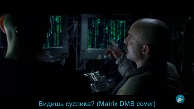 Лучшие приколы в Сoub 23 - Врожденное чувство ритма смотреть онлайн