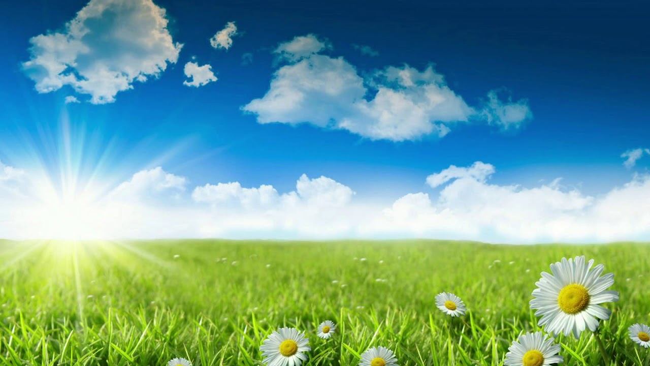 Эдуард Жолудев - "Я люблю". Читает Владислав Витковский смотреть онлайн