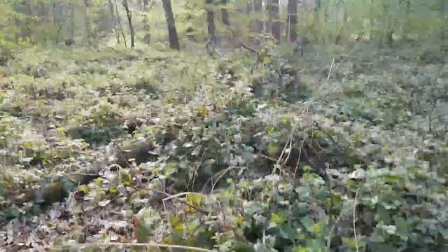 ёб***й яндекс навигатор (Оригинал) смотреть онлайн