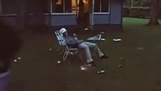 Видео приколы смотреть онлайн