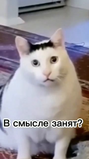 ты знаешь, кому отправить #summershorts #shorts #юмор смотреть онлайн
