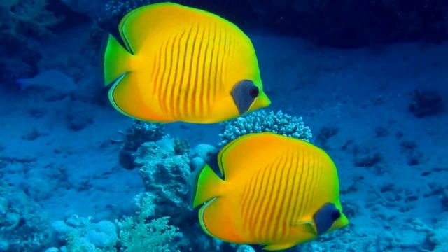 музыка 90 х часть 1