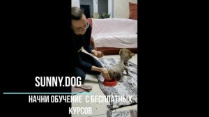 профилактика агрессии  к еде! Агрессия за еду - не допускаем