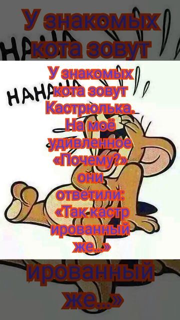 Смех ДО СЛЁЗ!!!🤣🤣 КОШАК В ШОКЕ 😱 #анекдоты #дослез #приколы #смех #смехдослез #шортс #юмор #дети смотреть онлайн