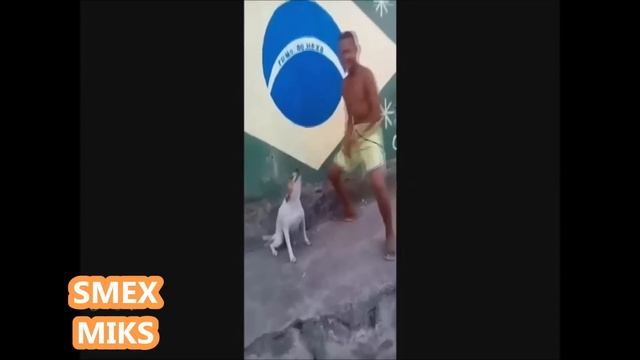 ПРИКОЛЫ НОВОЕ УЛЕТ (10) смотреть онлайн