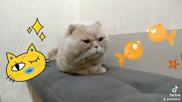Надо много кушать надо много спать. смотреть онлайн