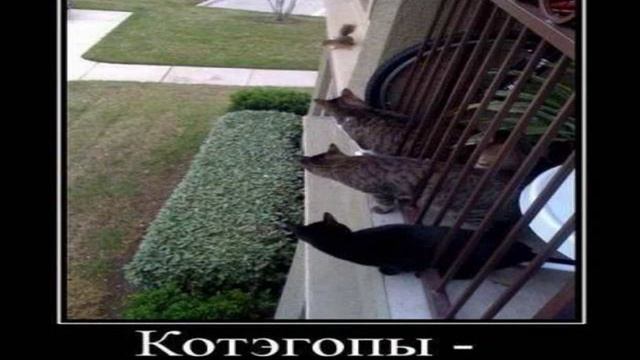 Картинки Демотиваторы Приколы 122399