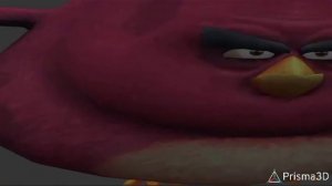 Энгри бердс приколы