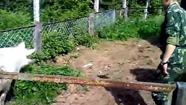Приколы 2016 новые смотреть онлайн