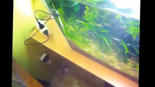 Aquael VersaMax FZN-1 смотреть онлайн