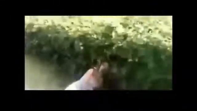 приколы с девками 2 1 смотреть онлайн