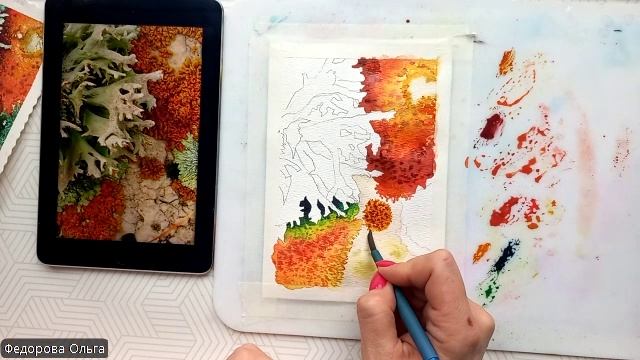 Акварель. Мох и лишайники