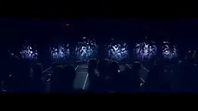 «Анималиста» Новая коллекция женской одежды от Faberlic смотреть онлайн