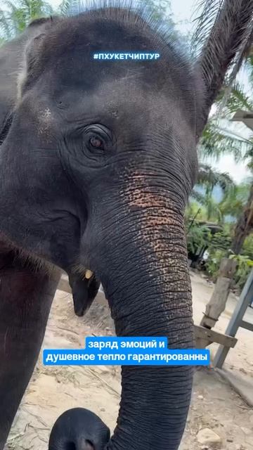 Добро пожаловать в "Мир Аватара" смотреть онлайн