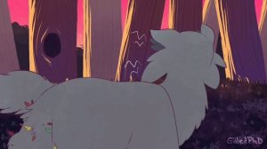 Топ Коты Воители| Топ 10 моих любимых персонажей