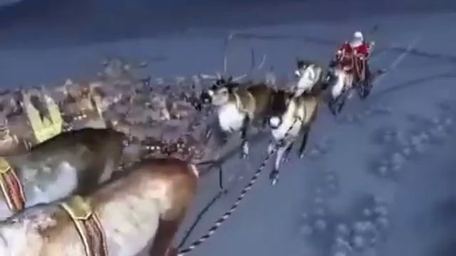 1 января 2018 г.