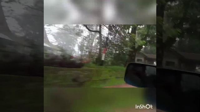 Kota malino ber selimut kabut