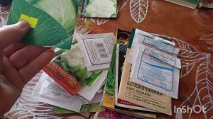 замочила семена тыквы, кабачки, думаю какую посадить капусту погода мерзкая, чищу рыбу.