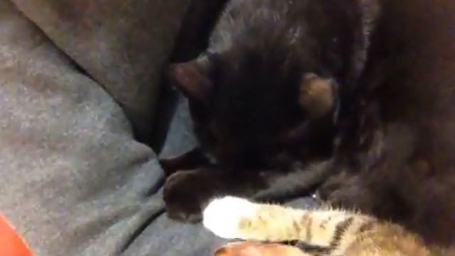 Немного приятных снов смотреть онлайн