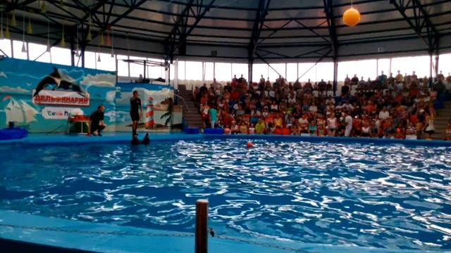 Пение дельфинов, Дельфинарий, СочиПарк смотреть онлайн