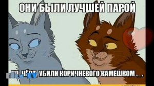 |Мемы| [Коты воители]