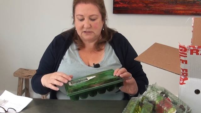 Unboxing Dahlias and Plug Plants. Mini plants from two garden Nurseries. смотреть онлайн