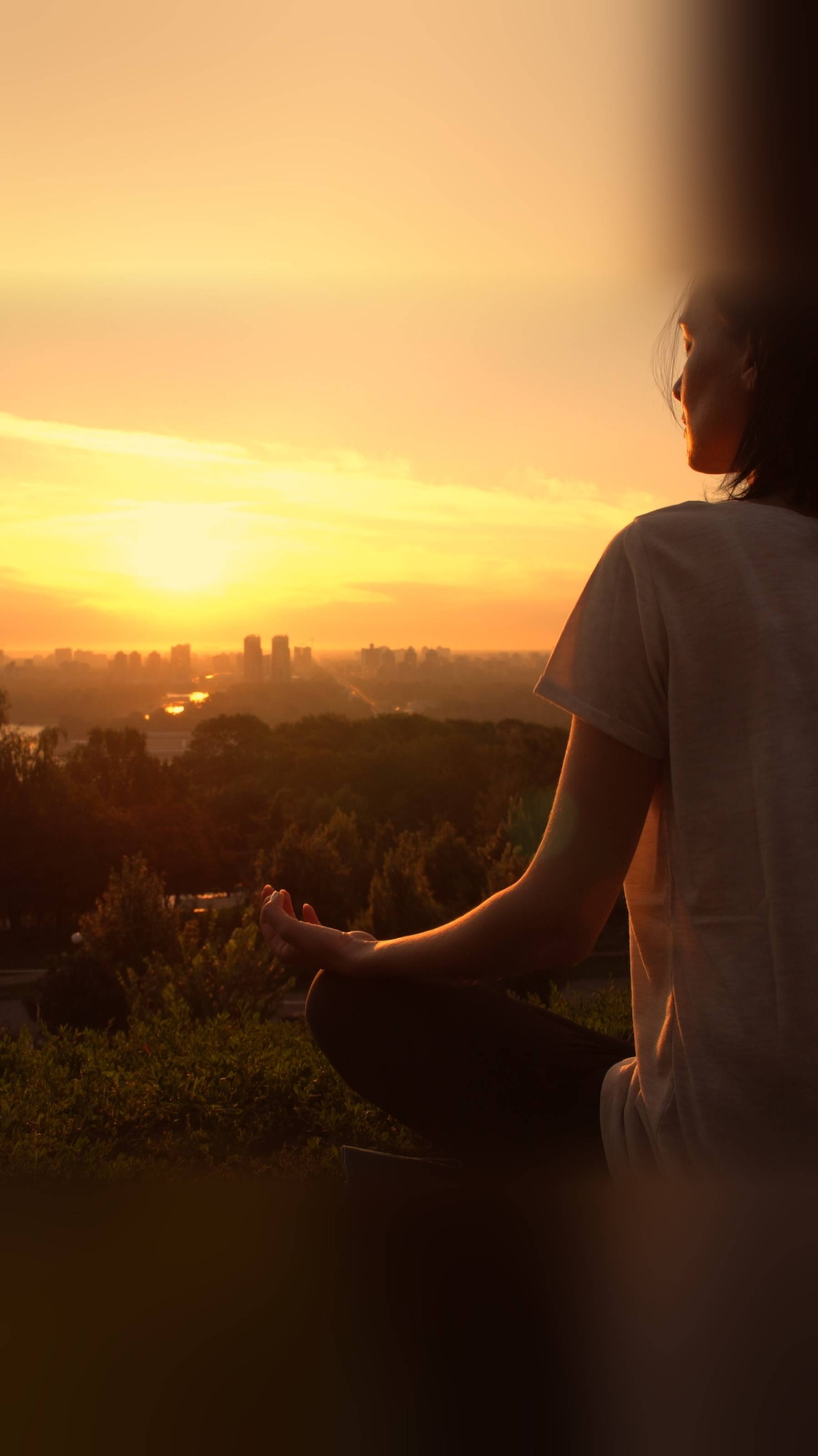 1 Часть_Пранаяма и медитация: тайные механизмы очищения сознания. смотреть онлайн