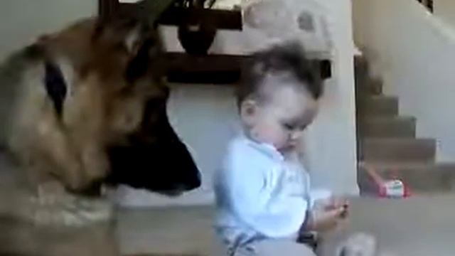 Блогослови детей и зверей Прикольное видео детей с животными смотреть онлайн