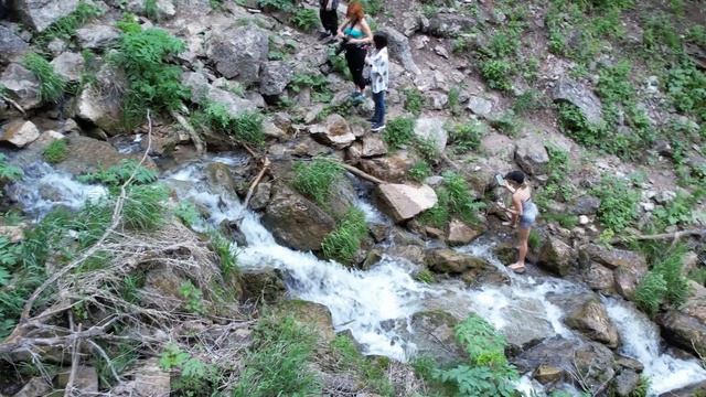 Куперля 1 июня 2024