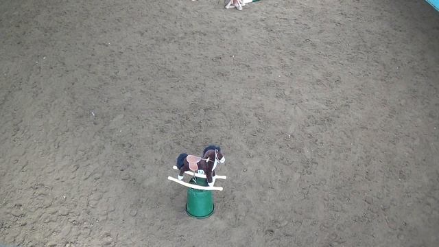 Игорь и Дубрава, Екатерина и Чибис