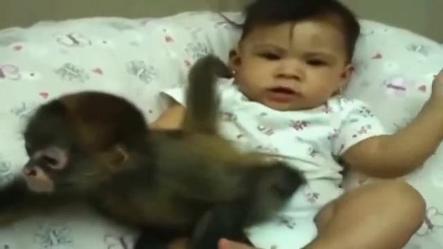 Обезьянки и дети Подборка смешных видео смотреть онлайн