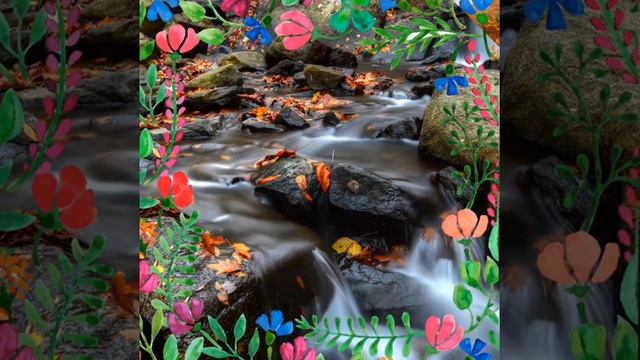 Прикольные картинки 6 часть смотреть онлайн